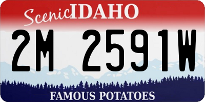 ID license plate 2M2591W