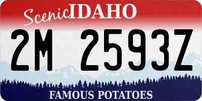ID license plate 2M2593Z