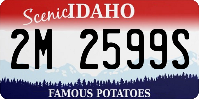 ID license plate 2M2599S