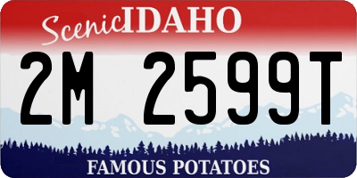 ID license plate 2M2599T