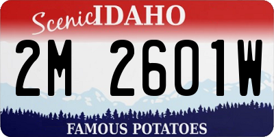 ID license plate 2M2601W