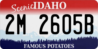 ID license plate 2M2605B