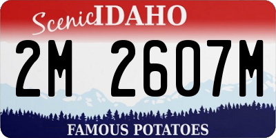 ID license plate 2M2607M