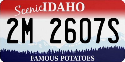 ID license plate 2M2607S