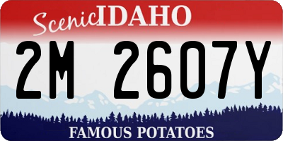 ID license plate 2M2607Y