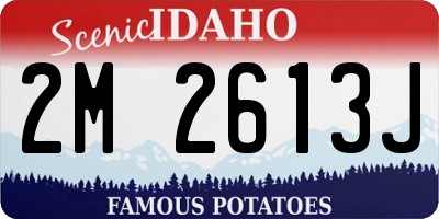 ID license plate 2M2613J