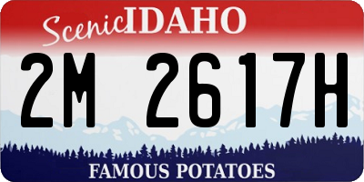 ID license plate 2M2617H