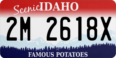 ID license plate 2M2618X