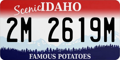 ID license plate 2M2619M