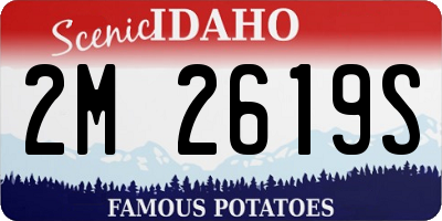 ID license plate 2M2619S