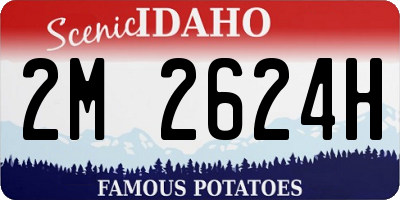 ID license plate 2M2624H