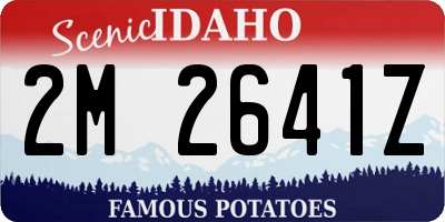 ID license plate 2M2641Z