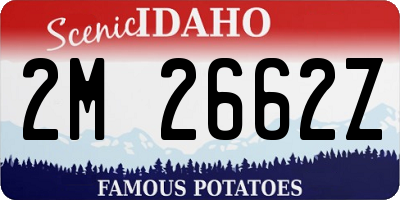 ID license plate 2M2662Z