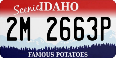 ID license plate 2M2663P