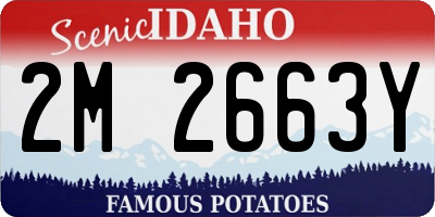 ID license plate 2M2663Y