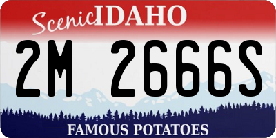 ID license plate 2M2666S