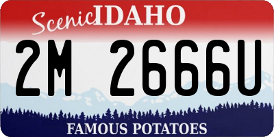 ID license plate 2M2666U