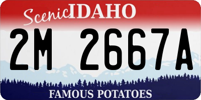 ID license plate 2M2667A