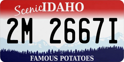 ID license plate 2M2667I