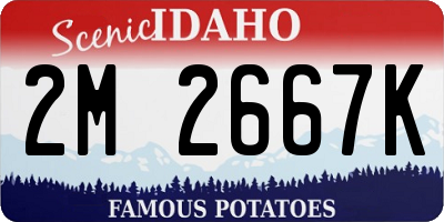 ID license plate 2M2667K