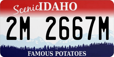 ID license plate 2M2667M