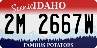 ID license plate 2M2667W
