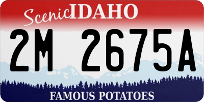 ID license plate 2M2675A