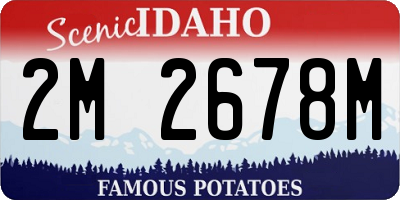 ID license plate 2M2678M