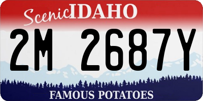 ID license plate 2M2687Y