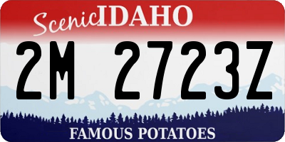 ID license plate 2M2723Z