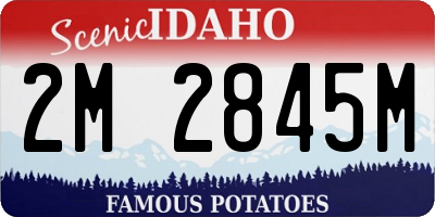 ID license plate 2M2845M