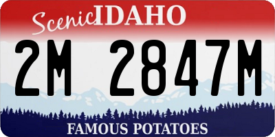 ID license plate 2M2847M