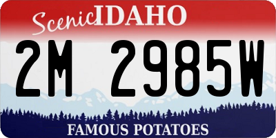 ID license plate 2M2985W