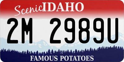 ID license plate 2M2989U