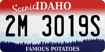 ID license plate 2M3019S