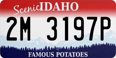 ID license plate 2M3197P