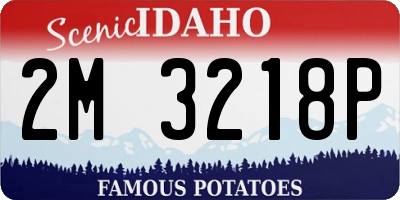 ID license plate 2M3218P