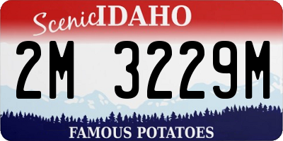 ID license plate 2M3229M