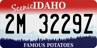 ID license plate 2M3229Z