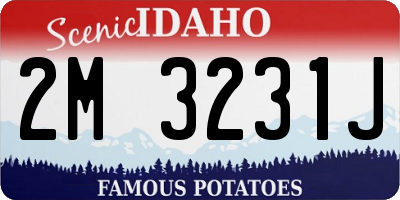 ID license plate 2M3231J