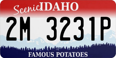ID license plate 2M3231P