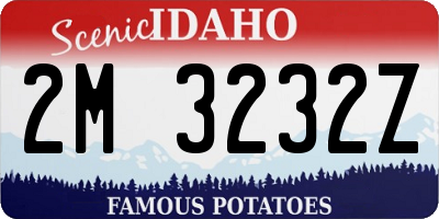 ID license plate 2M3232Z