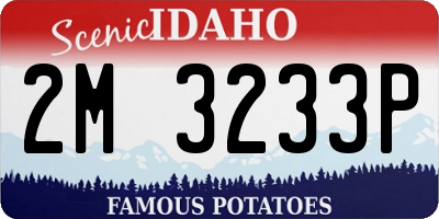 ID license plate 2M3233P
