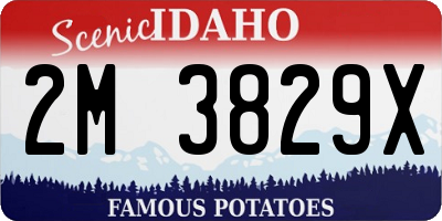 ID license plate 2M3829X