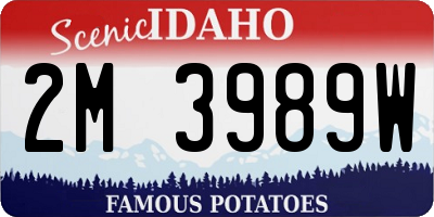 ID license plate 2M3989W