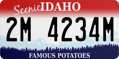 ID license plate 2M4234M