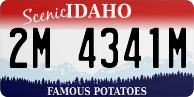 ID license plate 2M4341M