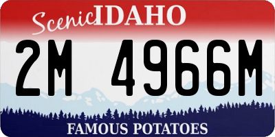 ID license plate 2M4966M