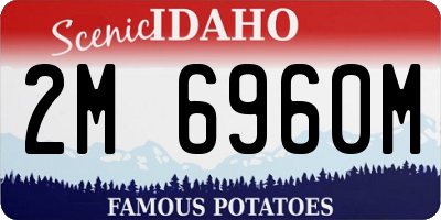 ID license plate 2M6960M