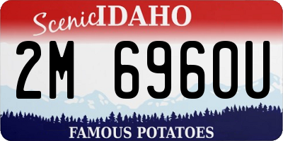 ID license plate 2M6960U